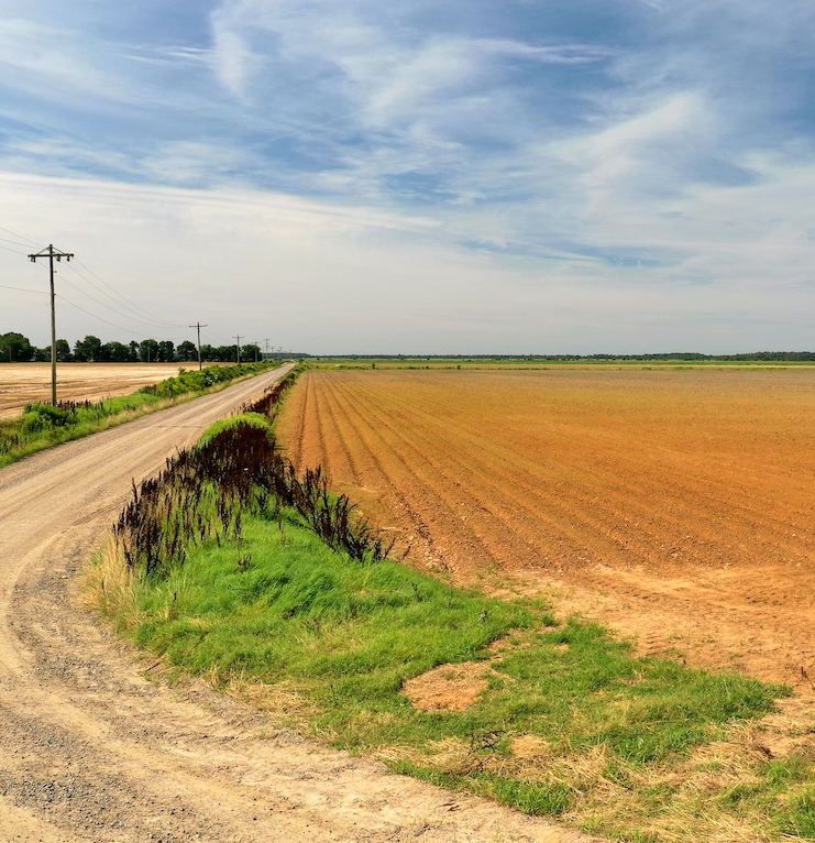 Journey down a dirt road.